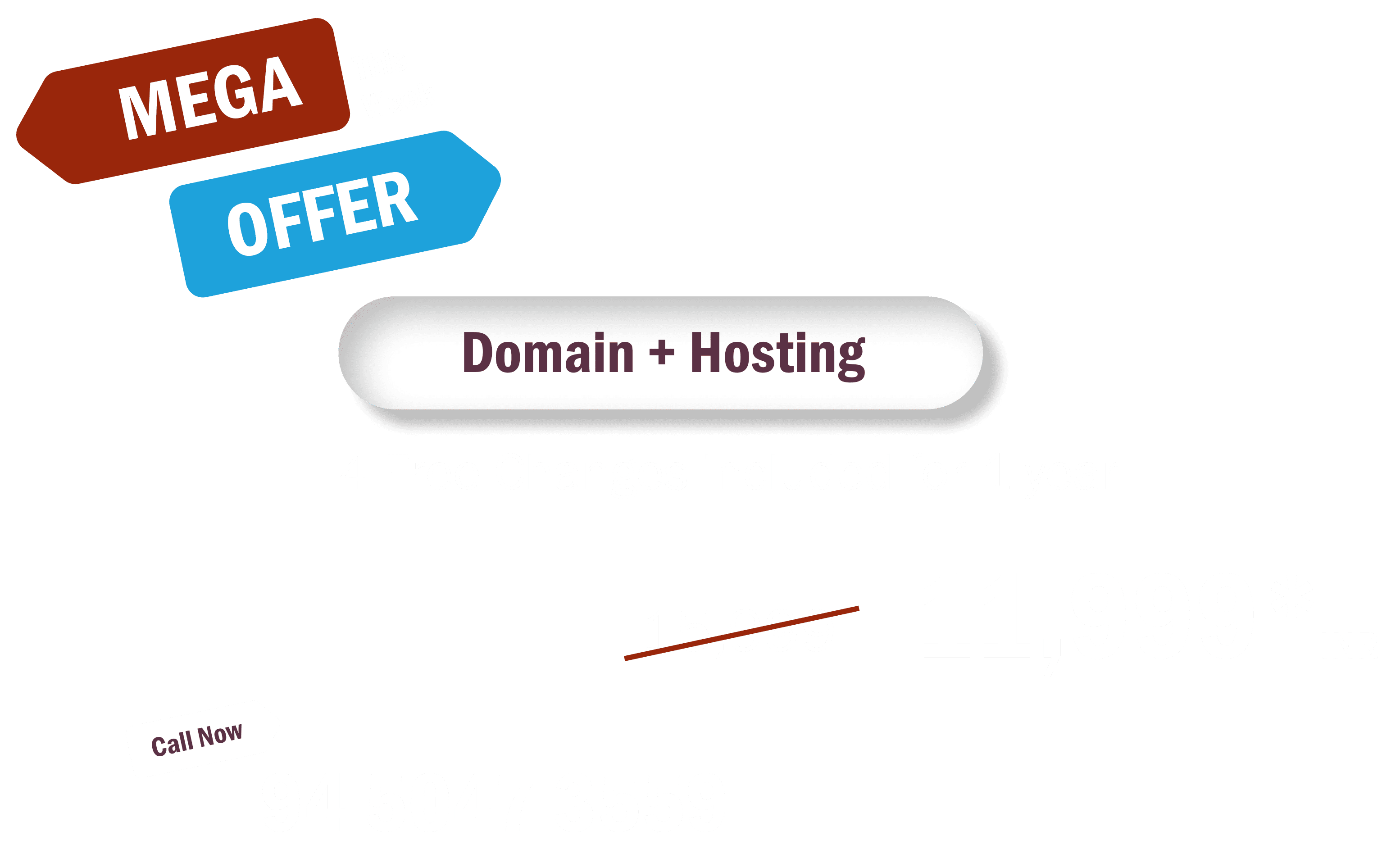 Mega Sale Website only at Rs. 11,999*