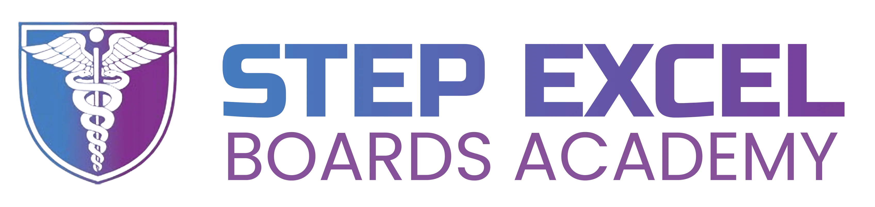 StepExcel Board Academy company logo