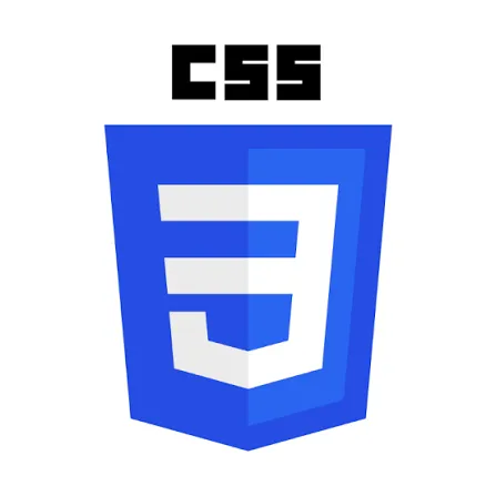 CSS logo